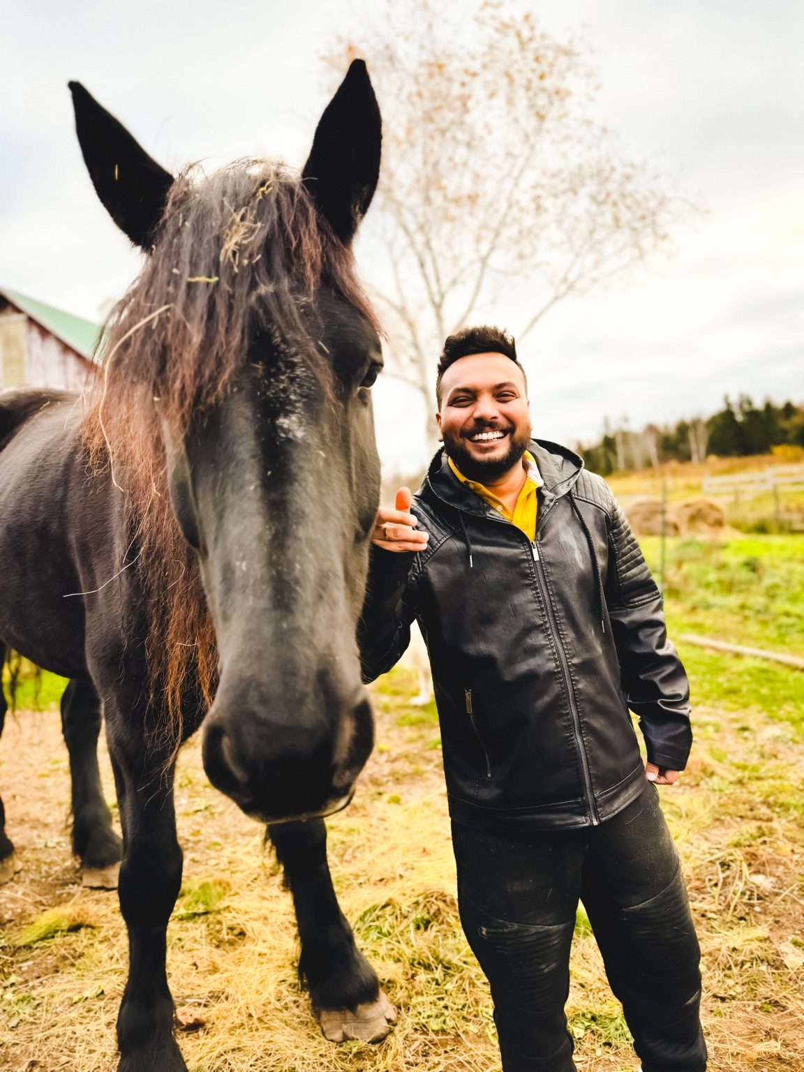 Horse encounter